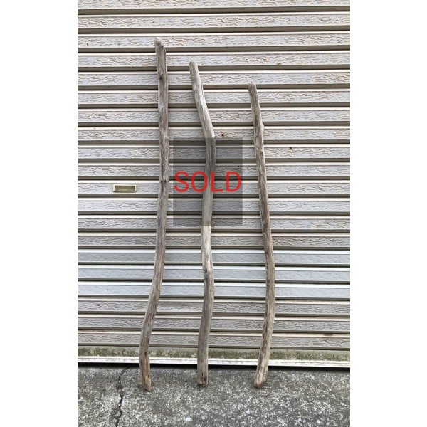 画像1: 厳選品【流木ハンガーDIY用】南信州産 淡水 天然流木 枝幹流木（全長１２２．１１３．１０６ｃｍ）流木ハンガーラック素材 ハンギング 流木インテリア 流木DIY