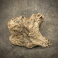 画像2: 南信州産｜淡水流木 天然流木【大きめサイズ・厳選一品】（ 約42×34×20cm） (2)