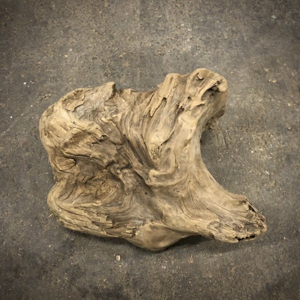 画像2: 南信州産｜淡水流木 天然流木【大きめサイズ・厳選一品】（ 約42×34×20cm）