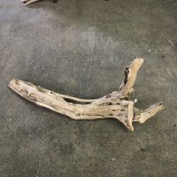 【貴重】【変形・枝流木】【厳選流木】淡水 天然流木 南信州産（ 約82×34cm 幹幅6.8〜8.5cm）
