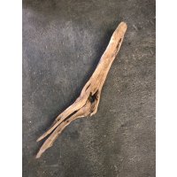 南信州産｜変形流木 天然流木【大きめサイズ・厳選一品】（ 約111cm・幹幅9.8〜11.3cm）