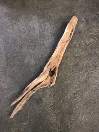 南信州産｜変形流木 天然流木【大きめサイズ・厳選一品】（ 約111cm・幹幅9.8〜11.3cm）