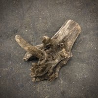 南信州産｜根流木 淡水 天然流木【大きめサイズ・厳選一品】（ 約33×41×24cm）