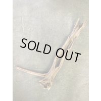 南信州産｜根付き 変形流木 天然流木【大きめサイズ・厳選一品】（ 約99×52cm・幹幅8.8〜11.3cm）