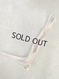 南信州産｜根付き 変形流木 天然流木【大きめサイズ・厳選一品】（ 約99×52cm・幹幅8.8〜11.3cm）