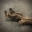 画像2: 南信州産｜変形流木 天然流木【大きめサイズ・厳選一品】（ 約81cm・幹幅8〜13cm） (2)