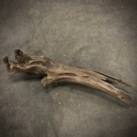 南信州産｜変形流木 天然流木【大きめサイズ・厳選一品】（ 約81cm・幹幅8〜13cm）