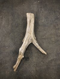 南信州産｜変形流木 天然流木【大きめサイズ・厳選一品】（ 約81×34cm・幹幅12〜14cm）