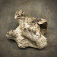 画像1: 南信州産｜淡水流木 天然流木【大きめサイズ・厳選一品】（ 約42×34×20cm） (1)