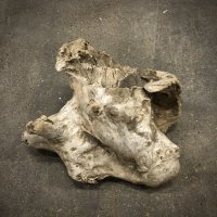 南信州産｜淡水流木 天然流木【大きめサイズ・厳選一品】（ 約42×34×20cm）