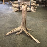 南信州産｜根流木 淡水 天然流木【大きめサイズ・厳選一品】（ 約56×50.5×32cm）