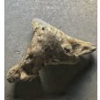 画像3: 【特選絶品】【特大流木】南信州産 源流淡水 天然流木（ 約124×96×35cm）大型流木 特大流木 大きな流木 根流木 (3)