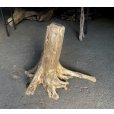 画像2: 【特選絶品】【特大流木】南信州産 源流淡水 天然流木（ 約73×59×45cm）大型流木 特大流木 大きな流木 根流木 (2)