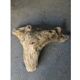 画像2: 【特選絶品】【特大流木】南信州産 源流淡水 天然流木（ 約124×96×35cm）大型流木 特大流木 大きな流木 根流木 (2)