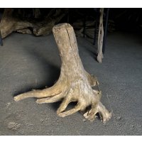 【特選絶品】【特大流木】南信州産 源流淡水 天然流木（ 約73×59×45cm）大型流木 特大流木 大きな流木 根流木
