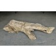 画像4: 【特選絶品】【特大流木】南信州産 源流淡水 天然流木（ 約112×35×38cm）大型流木 特大流木 大きな流木 (4)