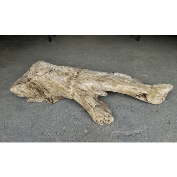 画像4: 【特選絶品】【特大流木】南信州産 源流淡水 天然流木（ 約112×35×38cm）大型流木 特大流木 大きな流木