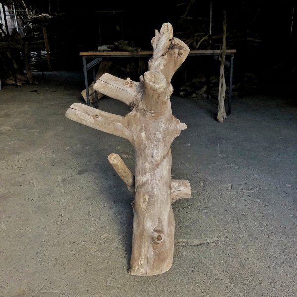 画像1: 【特大流木】南信州産 源流淡水 天然流木（ 約89×50×46cm/幹幅10.2〜15.3cm）大型流木 特大流木 大きな流木  