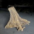画像2: 【特選絶品】【特大流木】南信州産 源流淡水 天然流木（ 約88×58×52cm）大型流木 特大流木 大きな流木 根流木 (2)