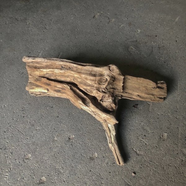 画像2: 【特選絶品】【特大流木】南信州産 源流淡水 天然流木（ 約82×48×28cm）大型流木 特大流木 大きな流木