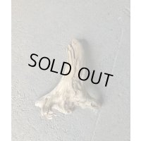 南信州産｜変形流木 淡水 天然流木【大きめサイズ・厳選一品】（ 約48×38×18cm）