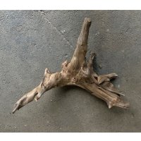 【特選絶品】【特大流木】南信州産 源流淡水 天然流木（ 約84×50×25cm）大型流木 特大流木 大きな流木