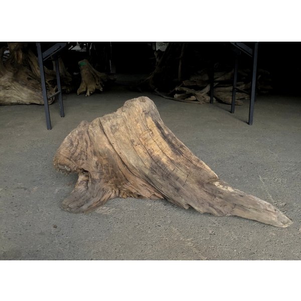 画像2: 【特選絶品】【特大流木】南信州産 源流淡水 天然流木（ 約82×45×50cm）大型流木 特大流木 大きな流木 根流木