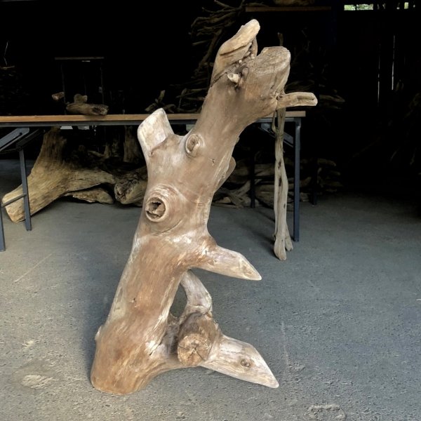 画像3: 【特大流木】南信州産 源流淡水 天然流木（ 約89×50×46cm/幹幅10.2〜15.3cm）大型流木 特大流木 大きな流木  