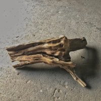 【特選絶品】【特大流木】南信州産 源流淡水 天然流木（ 約82×48×28cm）大型流木 特大流木 大きな流木