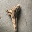 画像4: 【特選絶品】【特大流木】南信州産 源流淡水 天然流木（ 約90×30×38cm）大型流木 特大流木 大きな流木 (4)
