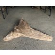 画像1: 【特選絶品】【特大流木】南信州産 源流淡水 天然流木（ 約90×30×38cm）大型流木 特大流木 大きな流木 (1)