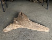 【特選絶品】【特大流木】南信州産 源流淡水 天然流木（ 約90×30×38cm）大型流木 特大流木 大きな流木