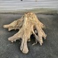 画像1: 【絶品】【特大流木】南信州産 源流淡水 天然流木（ 約１１５×５５×１１０cm）根流木 大型流木 根流木 特大流木 大きな流木 変形流木 (1)