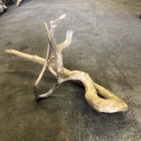【特選絶品】【特大流木】南信州産 源流淡水 天然流木（ 約89×49×34cm）変形流木 大型流木 特大流木 大きな流木