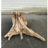 【特選絶品】【特大流木】南信州産 源流淡水 天然流木（ 約76×45×62cm）大型流木 特大流木 大きな流木 根流木