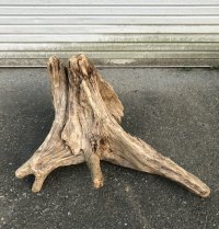 【特選絶品】【特大流木】南信州産 源流淡水 天然流木（ 約76×45×62cm）大型流木 特大流木 大きな流木 根流木
