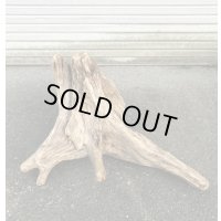 【特選絶品】【特大流木】南信州産 源流淡水 天然流木（ 約76×45×62cm）大型流木 特大流木 大きな流木 根流木