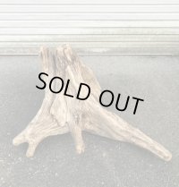 【特選絶品】【特大流木】南信州産 源流淡水 天然流木（ 約76×45×62cm）大型流木 特大流木 大きな流木 根流木