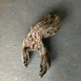 画像4: 【特選絶品】【特大流木】南信州産 源流淡水 天然流木（ 約66×33×21cm）大型流木 特大流木 大きな流木 (4)