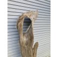 画像2: 【特選絶品】【特大流木】南信州産 源流淡水 天然流木（ 約180×36×32cm）大型流木 特大流木 大きな流木 (2)