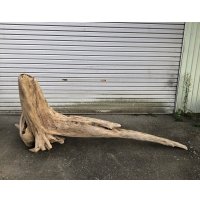 【絶品】【特大流木】南信州産 源流淡水 天然流木（ 約196××89×60cm）根流木 大型流木 根流木 特大流木 大きな流木 変形流木