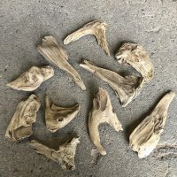 【特選品】南信州産 淡水 天然流木 流木セット【Ｓサイズ相当】１０個セット まとめ売り 通販 厳選セット 流木【チランジア、エアープランツ着床・ドライフラワー・植物・フェイクグリーン】