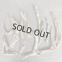 【特選品】南信州産 淡水 いろいろ 天然流木 細長い流木 １０個セット まとめ売り 通販 厳選セット 流木【チランジア、エアープランツ着床・ドライフラワー・植物・フェイクグリーン】