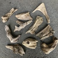 【特選品】南信州産 淡水 天然流木 流木セット【Ｓ〜Mサイズ相当】１０個セット まとめ売り 通販 厳選セット 流木【チランジア、エアプランツ着床・ドライフラワー・植物・フェイクグリーン】