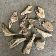 塩分や化学物質、虫の卵を含まない南信州の清流で採取した天然流木。安全で環境にやさしい国産素材としてDIYや建築・装飾に最適です。まがり屋流木。 