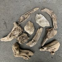 【特選品】南信州産 淡水 天然流木 流木セット【Mサイズ相当】１０個セット まとめ売り 通販 厳選セット 流木【チランジア、エアープランツ着床・ドライフラワー・植物・フェイクグリーン】