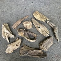 【特選品】南信州産 淡水 天然流木 流木セット【Mサイズ相当】１０個セット まとめ売り 通販 厳選セット 流木【チランジア、エアープランツ着床・ドライフラワー・植物・フェイクグリーン】