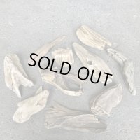 【特選品】南信州産 淡水 天然流木 流木セット【Mサイズ相当】１０個セット まとめ売り 通販 厳選セット 流木【チランジア、エアープランツ着床・ドライフラワー・植物・フェイクグリーン】