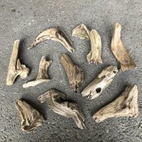 【特選品】南信州産 淡水 天然流木 流木セット【Ｓサイズ相当】１０個セット まとめ売り 通販 厳選セット 流木【チランジア、エアプランツ着床・ドライフラワー・植物・フェイクグリーン】