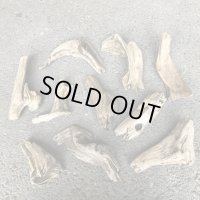 【特選品】南信州産 淡水 天然流木 流木セット【Ｓサイズ相当】１０個セット まとめ売り 通販 厳選セット 流木【チランジア、エアプランツ着床・ドライフラワー・植物・フェイクグリーン】